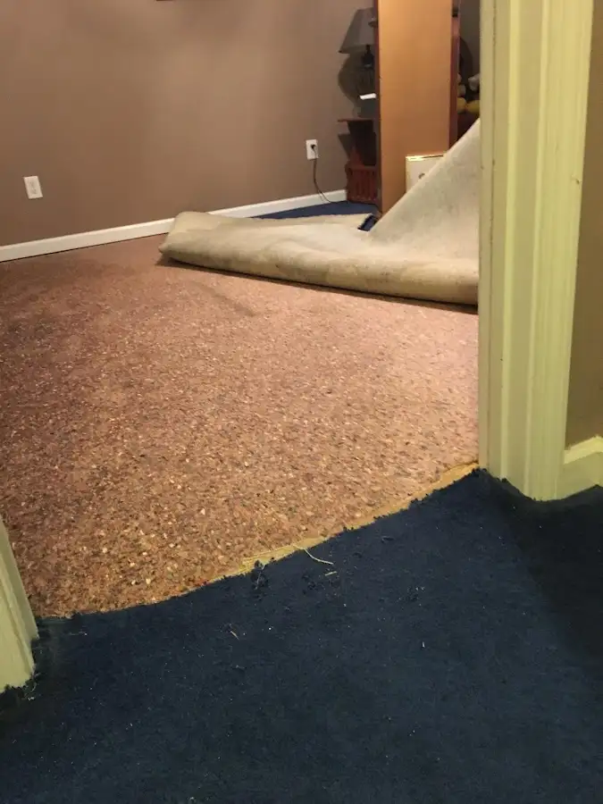 Carpet pad removal revealing water damage during Drying & Dehumidification in Whitman